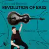 Dominik Wagner, Württembergisches Kammerorchester Heilbronn & Emmanuel Tjeknavorian - Bottesini: Revolution of Bass